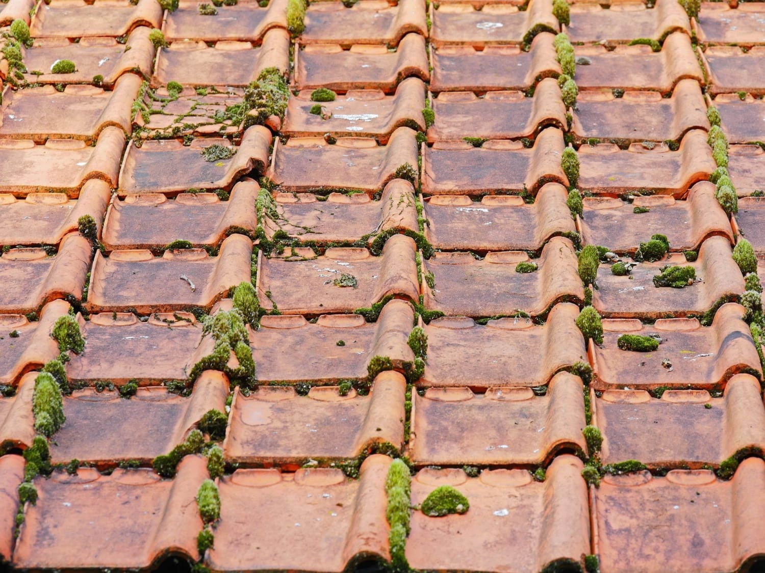 old-roof-2703949_1920